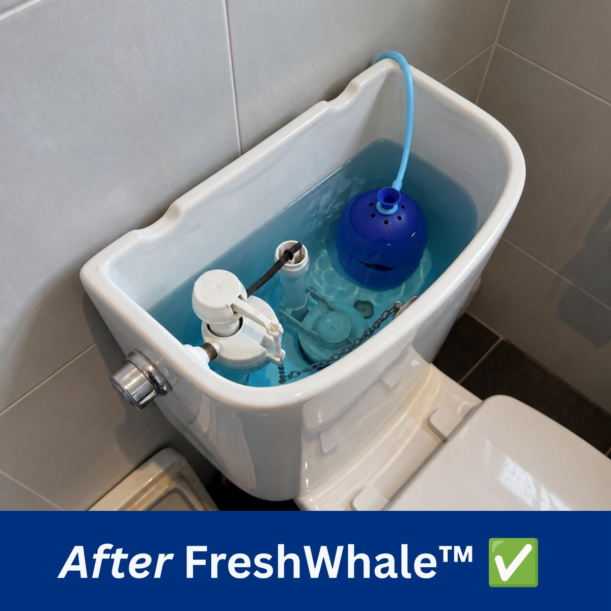 FreshWhale™ Automatic Toilet Cleaner